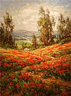 Poppy Field A View From Above by Unknown Artist